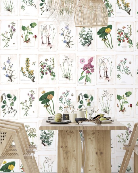 PaperMint | Fleurs Sauvages