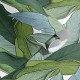 PaperMint | Leaf