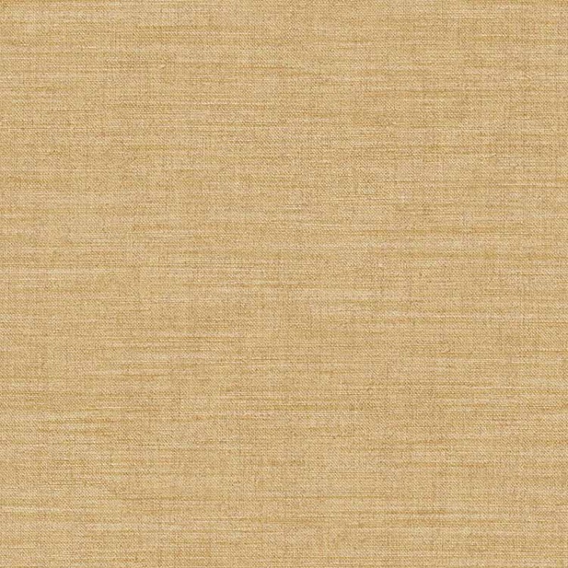 Fibrae IV | Arche