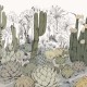 Honpo | Parc de Cactus