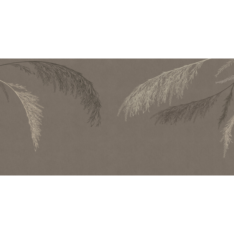 Rimura | Willow