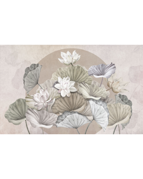 Rimura | Zenlotus