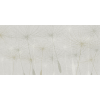 Rimura | Dandelion