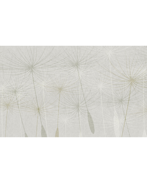 Rimura | Dandelion