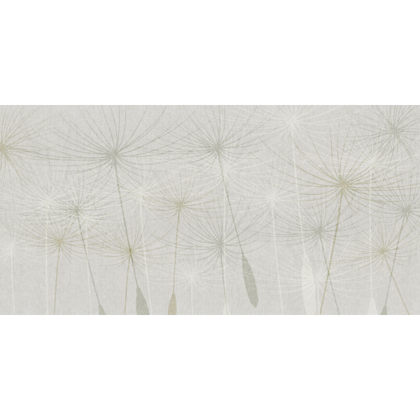 Rimura | Dandelion