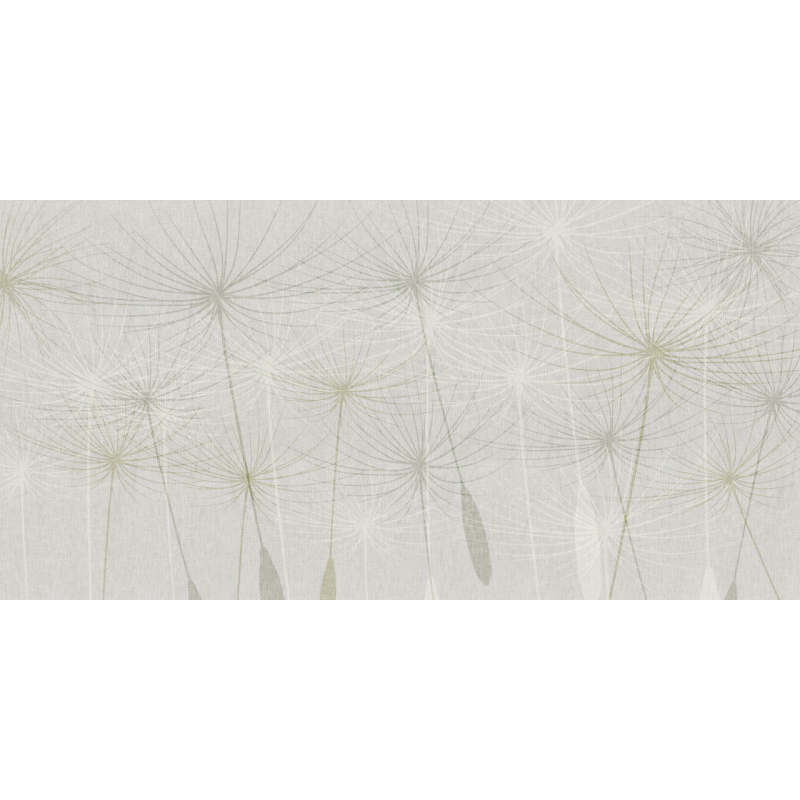 Rimura | Dandelion