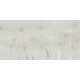 Rimura | Dandelion