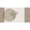 Rimura | Pure