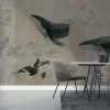 Rimura | Whales