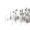 Rimura | Soldera