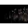 Rimura | Soldera