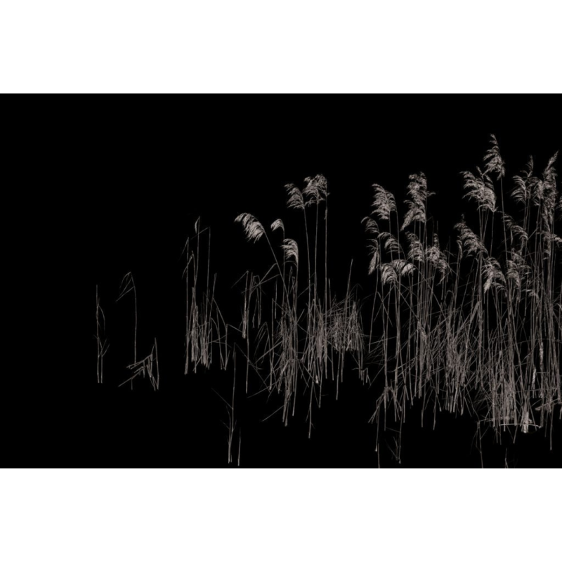 Rimura | Soldera
