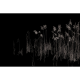 Rimura | Soldera