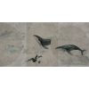 Rimura | Whales