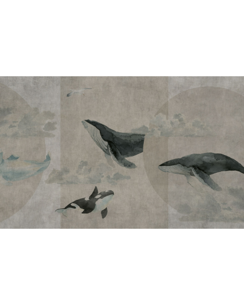 Rimura | Whales