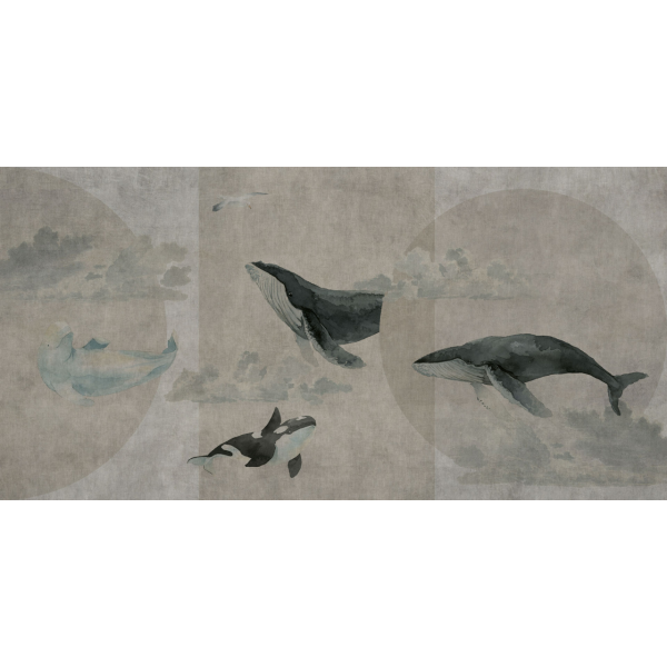 Rimura | Whales