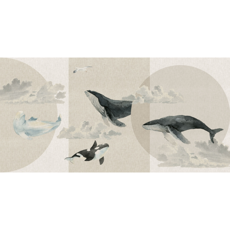 Rimura | Whales