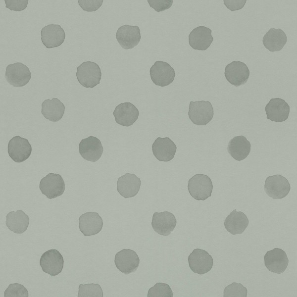 252057 | Bambino XIX
