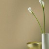 RASCH | 31441659 | WELCOME HOME 