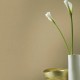 RASCH | 31441659 | WELCOME HOME 