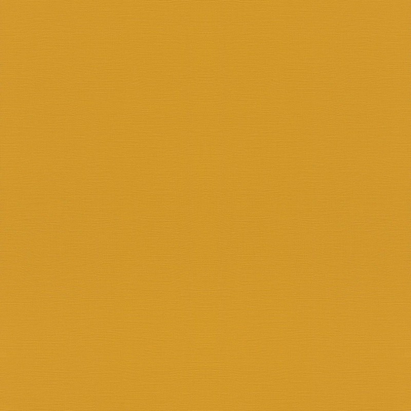 687552 | Tropical House