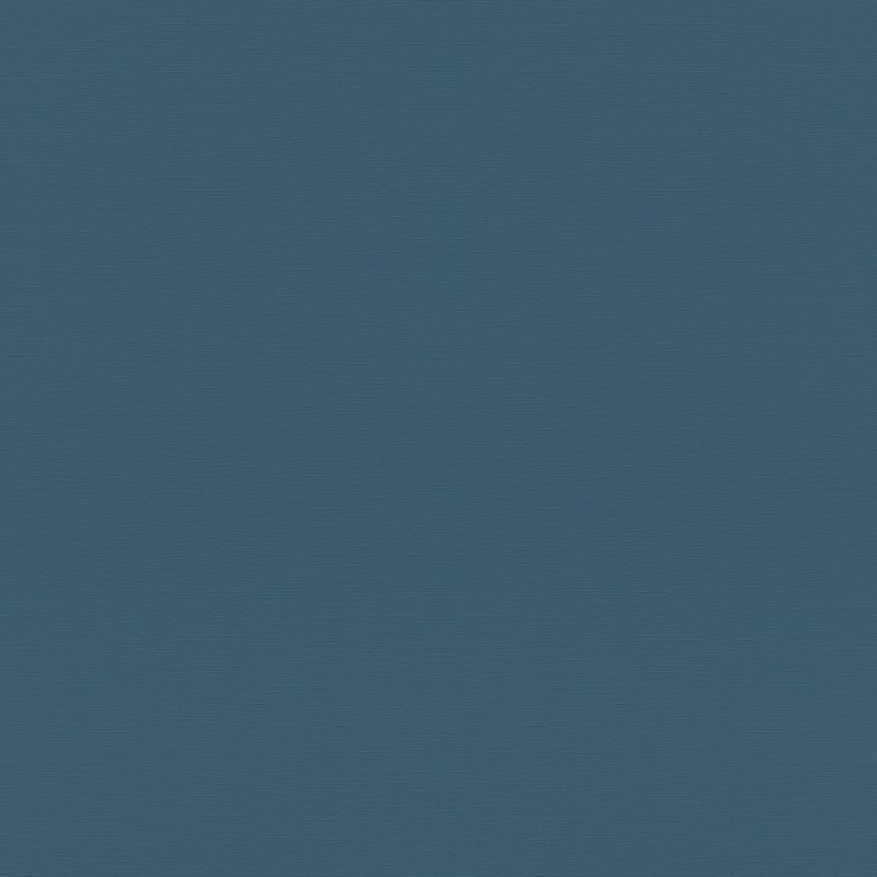 688016 | Tropical House