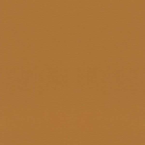 688054 | Tropical House