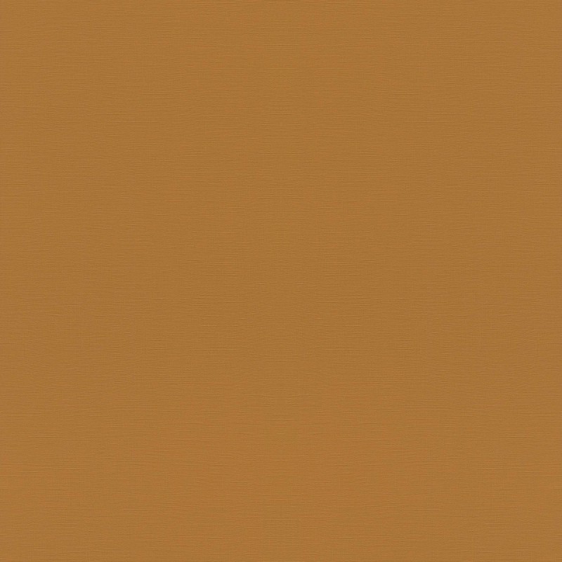 688054 | Tropical House