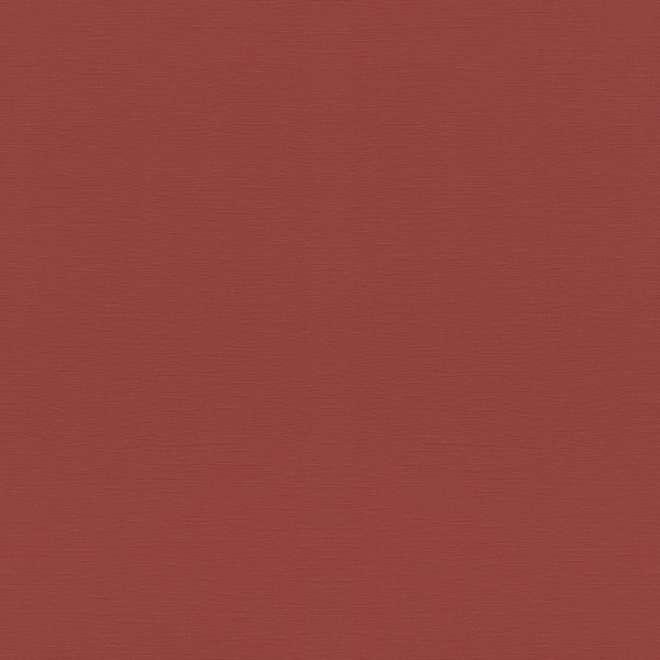 688061 | Tropical House