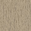 554151 | Composition