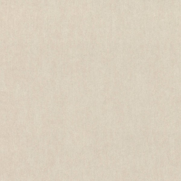 293745 | Sensai | Emil & Hugo