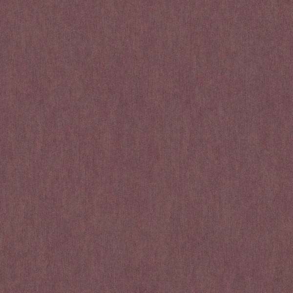 296401 | Sensai | Emil & Hugo