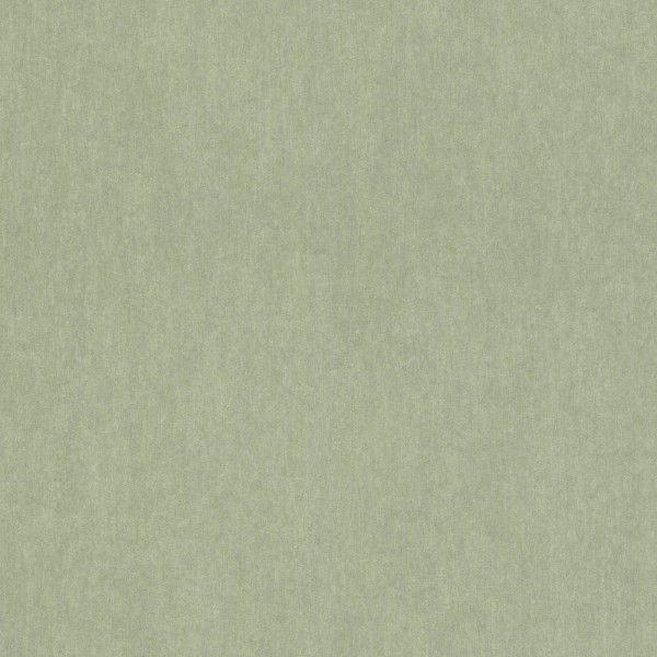 298986 | Sensai | Emil & Hugo