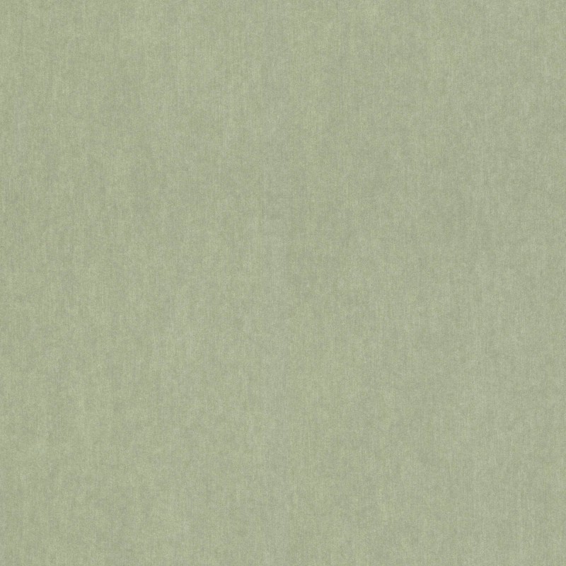 298986 | Sensai | Emil & Hugo