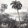 290324 | Zanzibar | Emil & Hugo