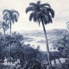 290331 | Zanzibar | Emil & Hugo