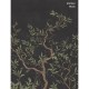 Branches of Dreams