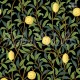 Lemon Garden