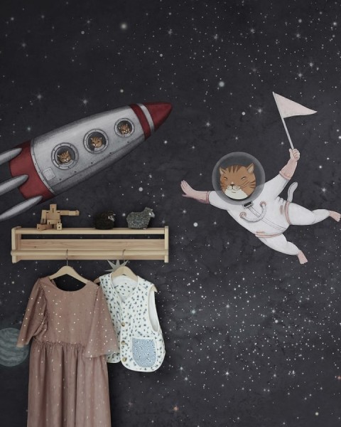 Space Cats