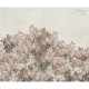 Syringa Flowers