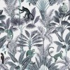 Tropical Monkeys