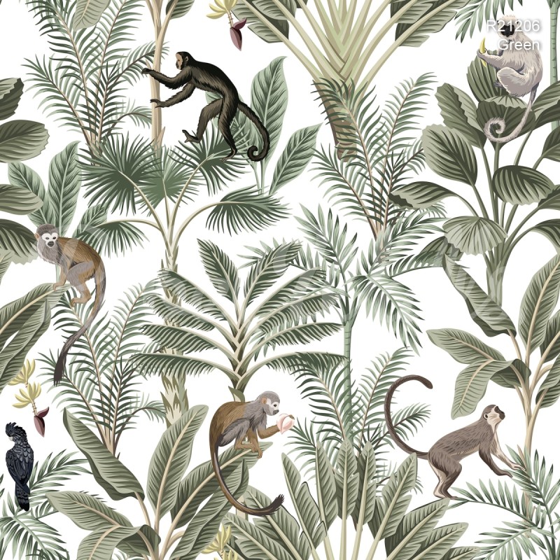 Tropical Monkeys