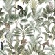 Tropical Monkeys