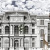 Animal Avenue