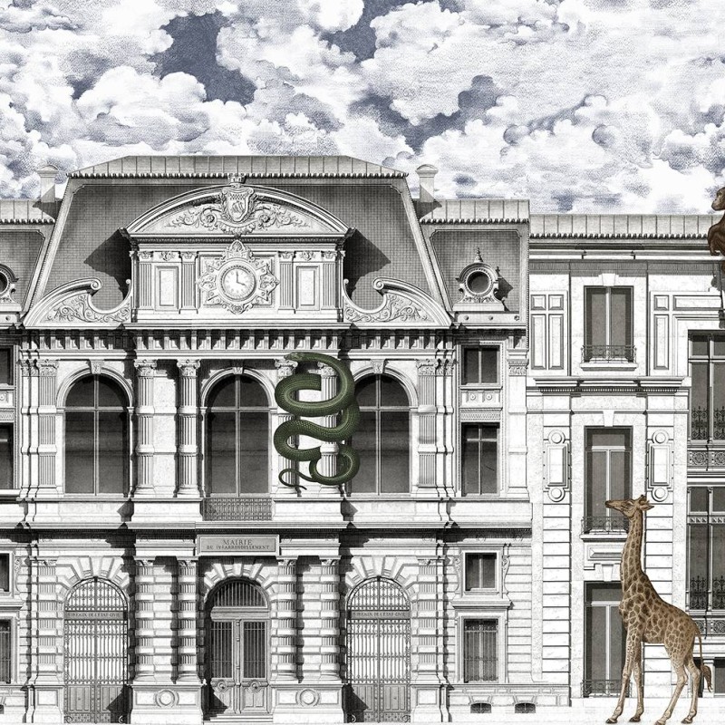 Animal Avenue