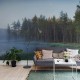 Forest Lake