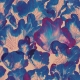 Corals
