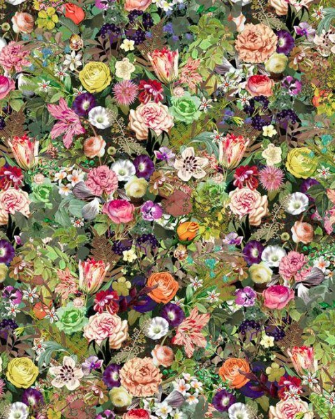 Meadow, Color