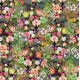 Meadow, Color