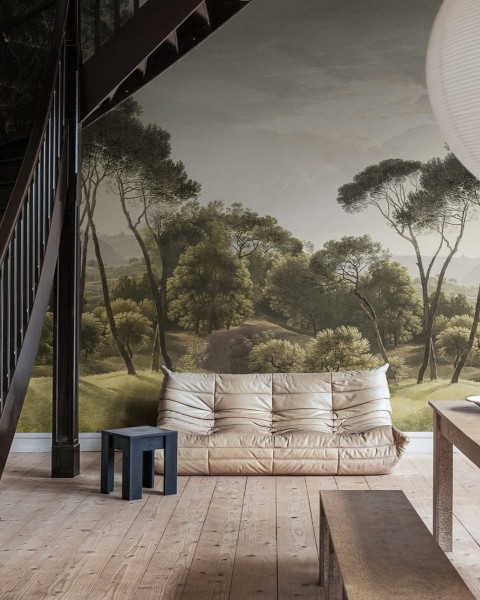 Pine Wood